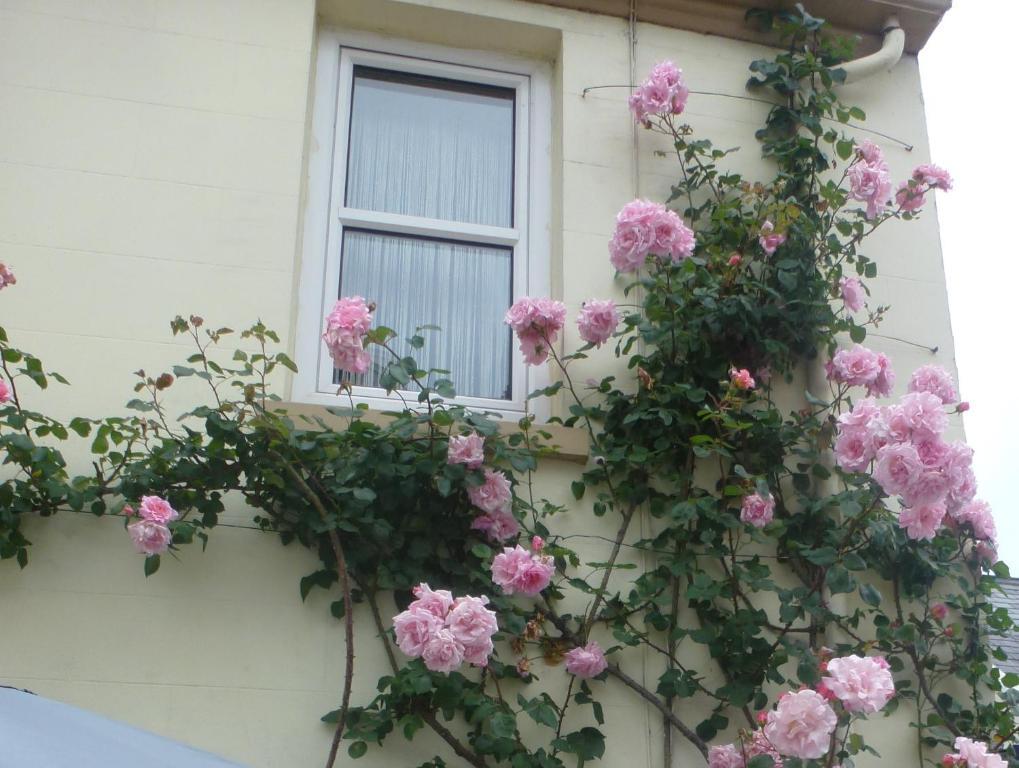 Bayview Guest House Saint Helier Jersey Exteriér fotografie